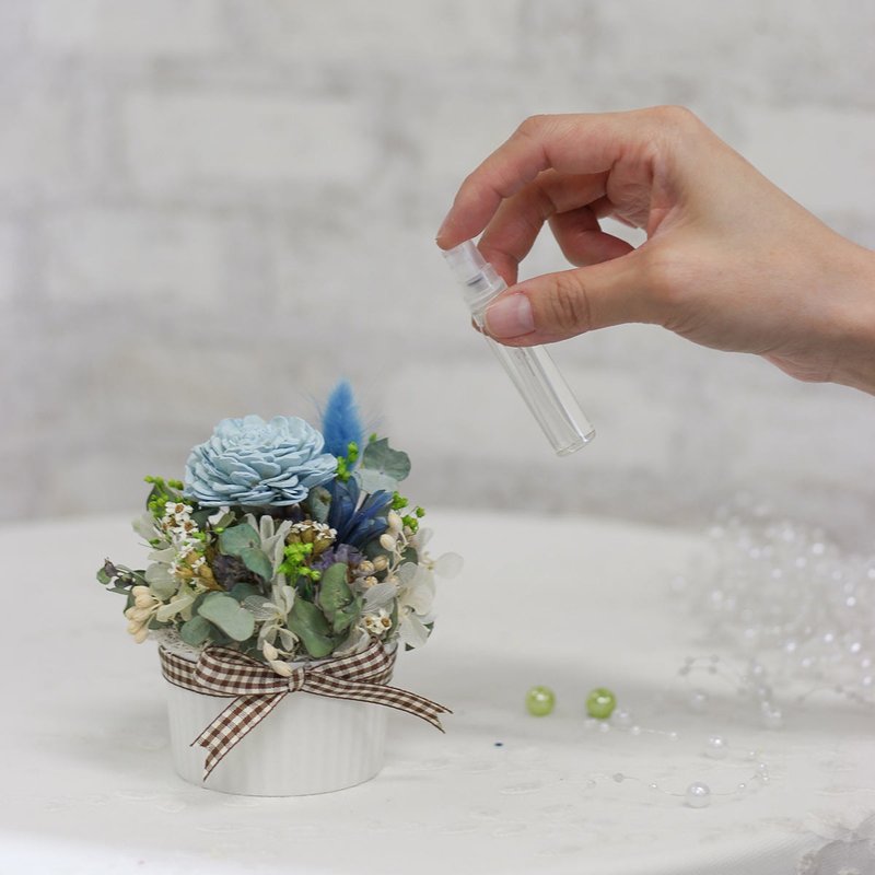 【1組1名様】フレグランスディフューザー ソラ 精油入り鉢植え ドライフラワー 手作りコース 台中 - 華道・生け花教室 - 寄せ植え・花 