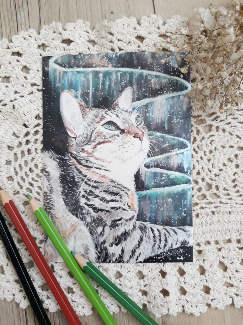 Cosmic Cats and Stars-Look at the Aurora - การ์ด/โปสการ์ด - กระดาษ หลากหลายสี