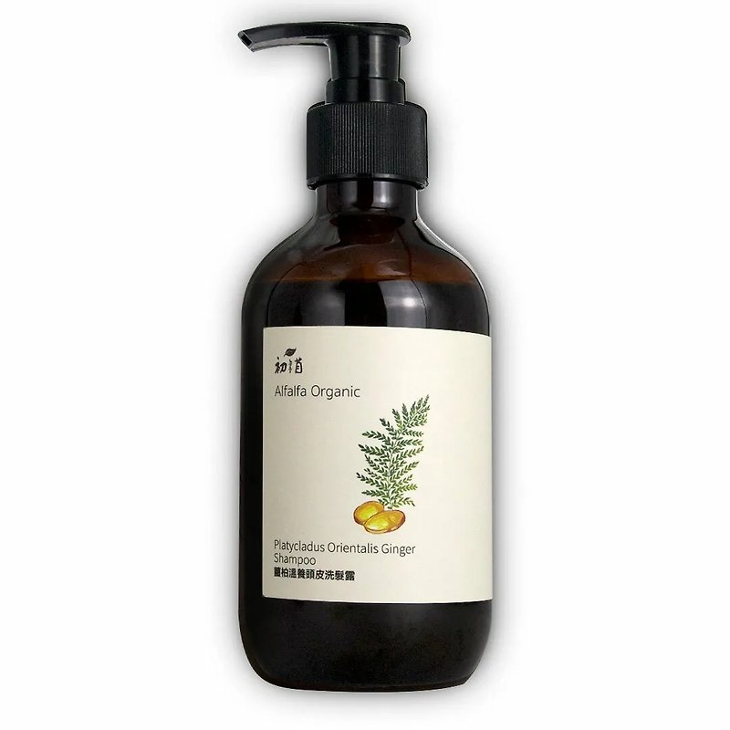 【Ginger Pond Warming Scalp Shampoo】Quickly Grow Hair-Thick and Strong-Reduce Hair Loss Chinese Herbs - Shampoos - Eco-Friendly Materials 