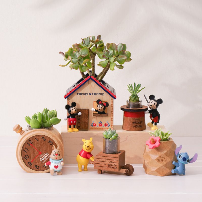 [Disney Potted Succulent Pots] | No additional plants required - ตกแต่งต้นไม้ - วัสดุอื่นๆ หลากหลายสี