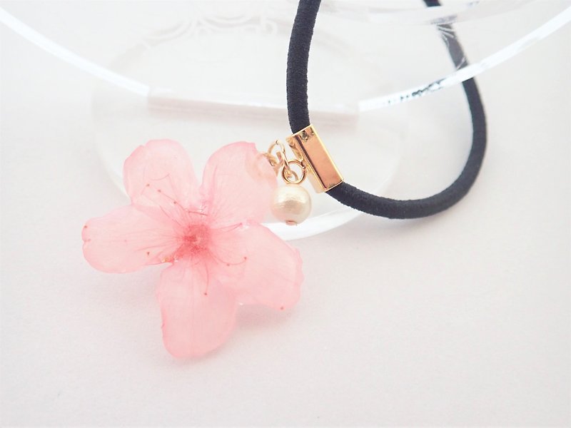Real Flower ✕ Cotton Pearl Sakura Bijin Hair Tie
