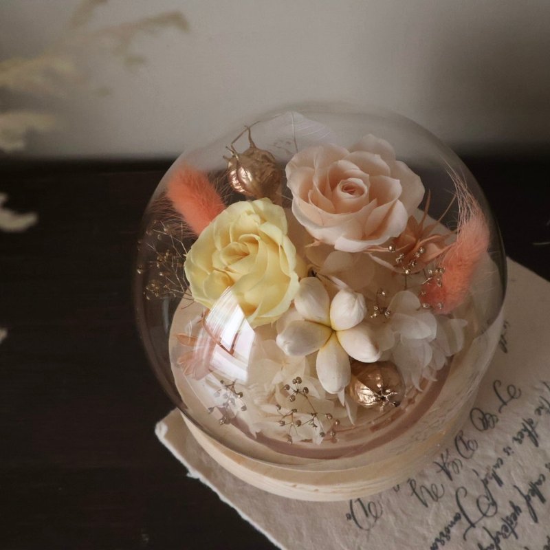 Valentine's Day Peach Orange Everlasting Night Light Round Glass Bell Jar with Box Birthday Anniversary Promotion - ช่อดอกไม้แห้ง - พืช/ดอกไม้ หลากหลายสี