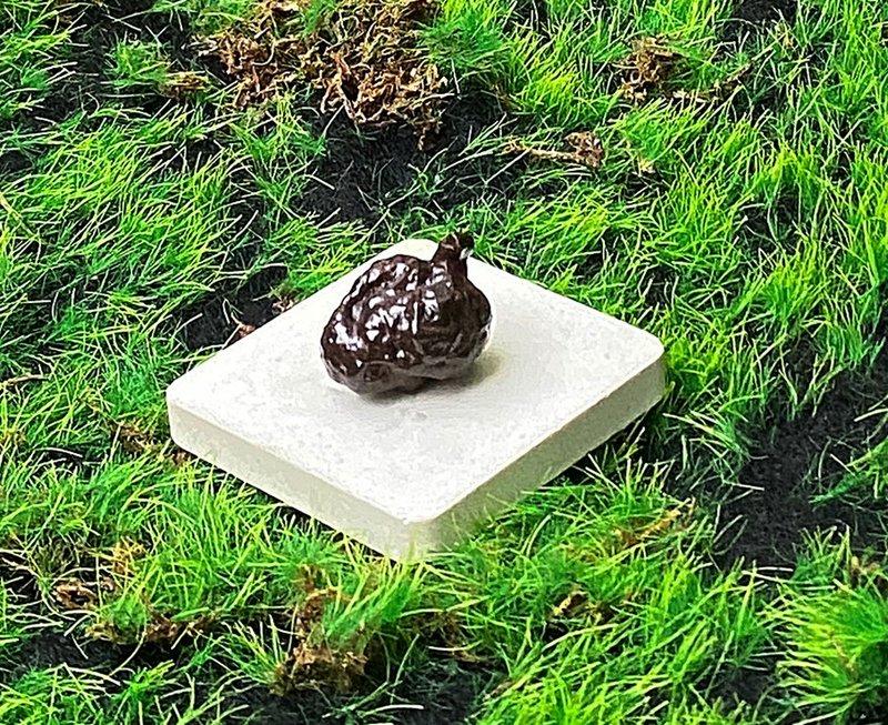 能量擺飾-精選天然埃及預言石可愛小草莓造型原礦 快速出貨 - 擺飾/家飾品 - 石頭 咖啡色