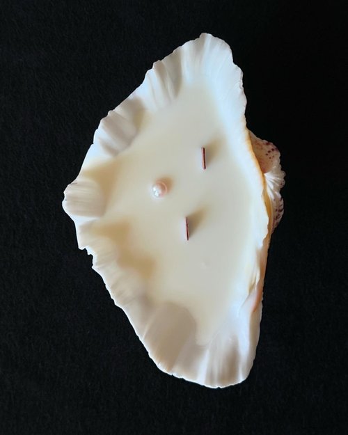 關於小三 關於小三的聖地牙哥貝克貝殼蠟燭-4