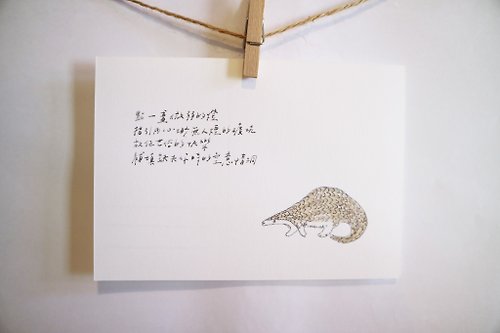 一把蔥 雜燴工作室 動物與牠的詩11/ 穿山甲/ 手繪 /卡片 明信片