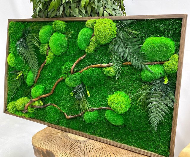 Moss Wall Decoration