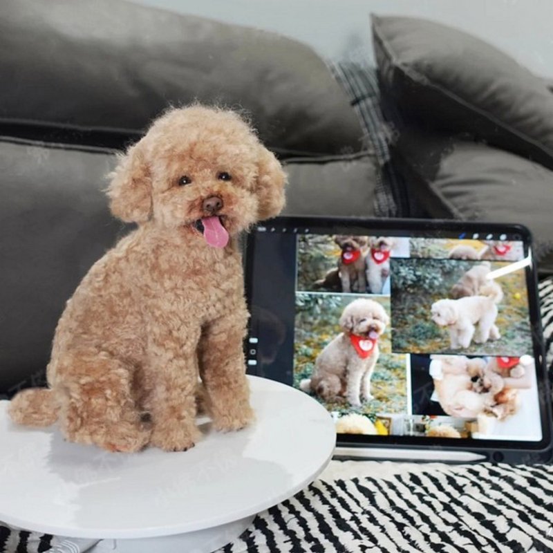 客制化逼真犬 羊毛氈 寵物 娃娃 定制 手工 狗狗猫咪 毛小孩  75 - 貓/狗玩具 - 羊毛 多色