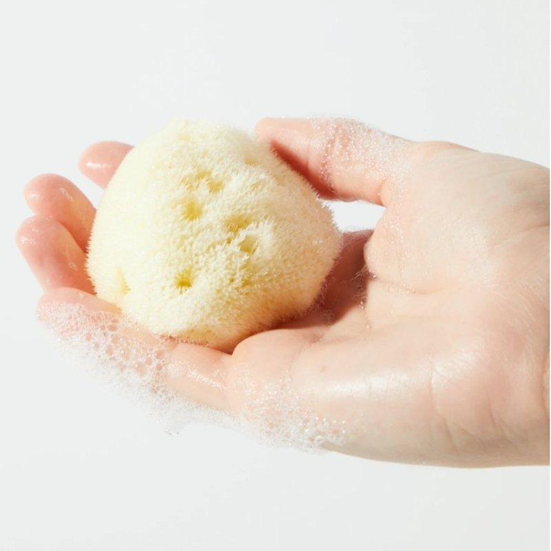 Greek natural facial sponge [gorgeous] - Other - Plants & Flowers Yellow
