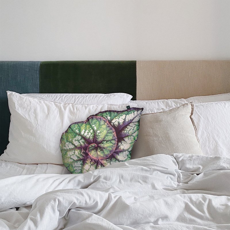 Begonia - Cushion (GGG) - Plants - Cotton & Hemp Green