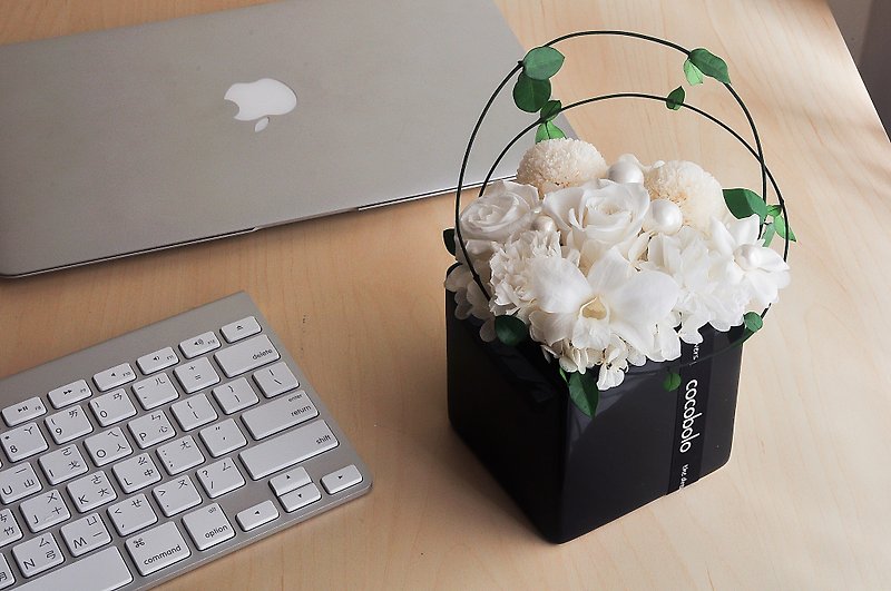 ハート白の純粋な。パラダイス│オフィスファッションの星の花の癒しの儀式 - 観葉植物 - 寄せ植え・花 
