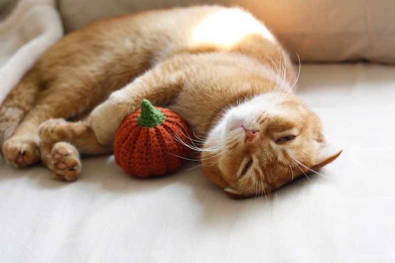 Pumpkin Handmade Cat Straw Bag Cat Toys Catnip Handwoven Wool Toys - ของเล่นสัตว์ - วัสดุอื่นๆ สีส้ม