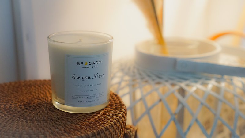 Mosquito Repellent Wax: See you Never (Lemongrass has a stress-relieving effect) - Candles & Candle Holders - Wax White