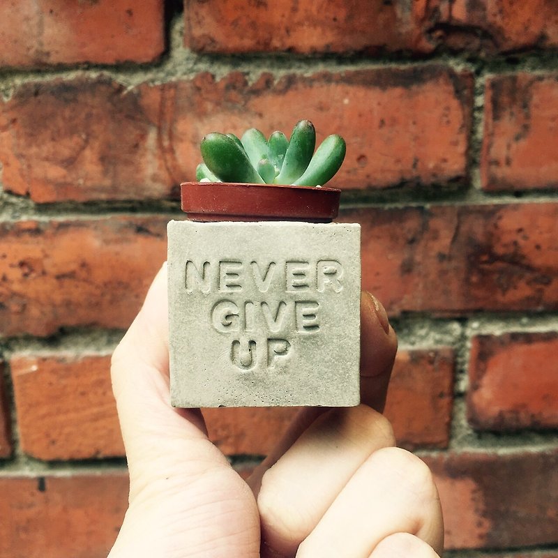 Never give up ~ Succulent Magnet Potted Plant - ตกแต่งต้นไม้ - ปูน สีเทา