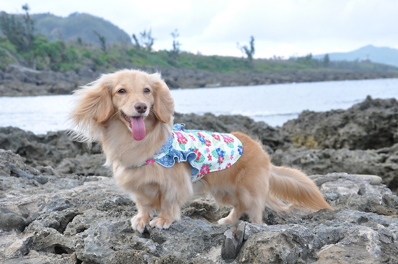 Fuso Diva Among Brasserie Dog Clothes Cat Clothes - ชุดสัตว์เลี้ยง - ผ้าฝ้าย/ผ้าลินิน 