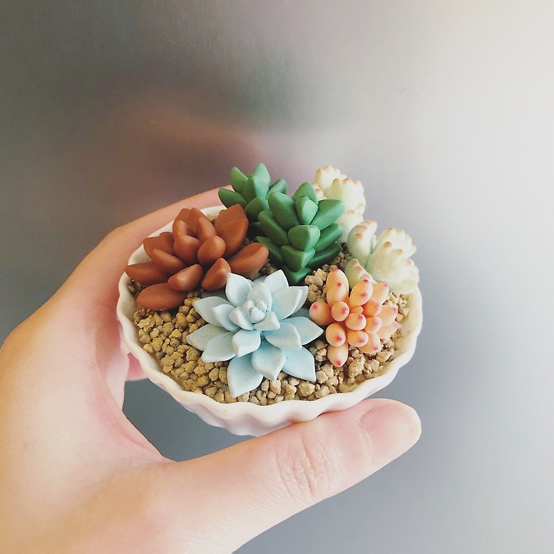 Variety of meat bowls No. 8. Simulation clay succulents _ lace round white porcelain pot - ของวางตกแต่ง - ดินเหนียว สีเขียว