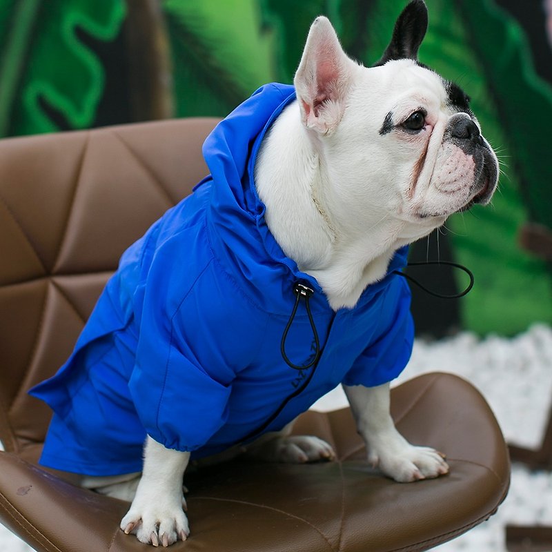 LazyEazy Dog Raincoat Hooded Waterproof Jacket Small Dog Tide Brand Net Red Cat Teddy Pet Clothes - ชุดสัตว์เลี้ยง - เส้นใยสังเคราะห์ สีน้ำเงิน