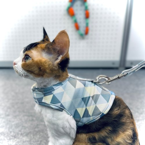 小步飛行犬貓日用良品 SHAPU 大角度胸背衣-藍鑽星(不含牽繩)