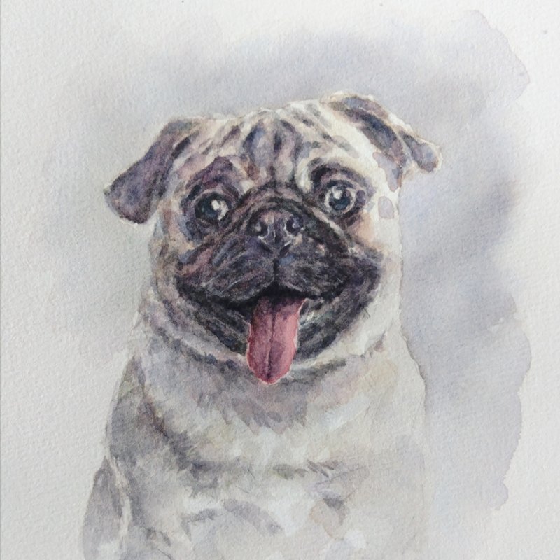 水彩狗仔似顏繪 寵物畫 連框 - 似顏繪/客製畫 - 紙 白色