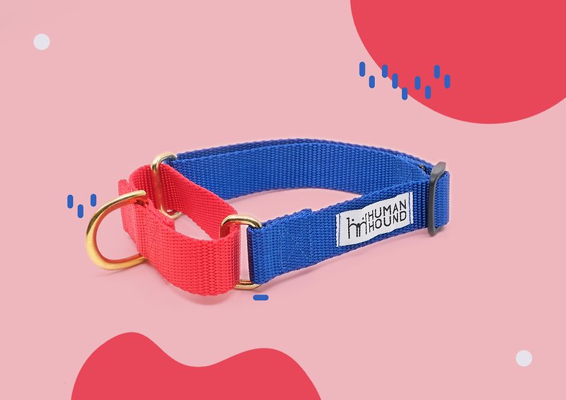 Martingale Collar - Light Red x Blue - Collars & Leashes - Nylon Green