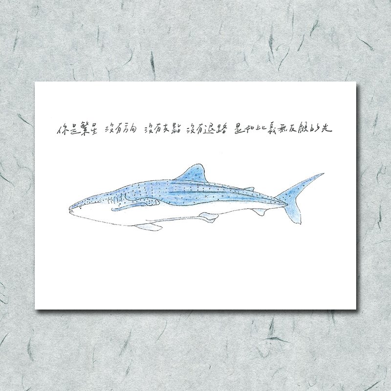 Animals and its poems 28/whale shark/ hand-painted/card postcard - Cards & Postcards - Paper 