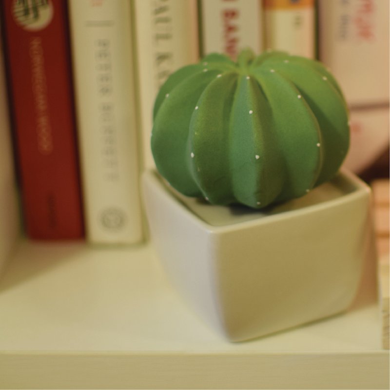 Dotti cactus ceramic diffuser - Items for Display - Pottery Green