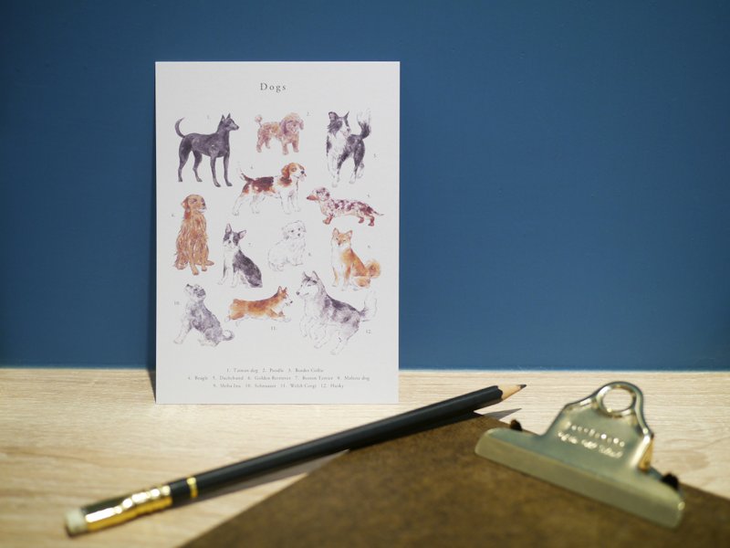 dog animal postcard - การ์ด/โปสการ์ด - กระดาษ 