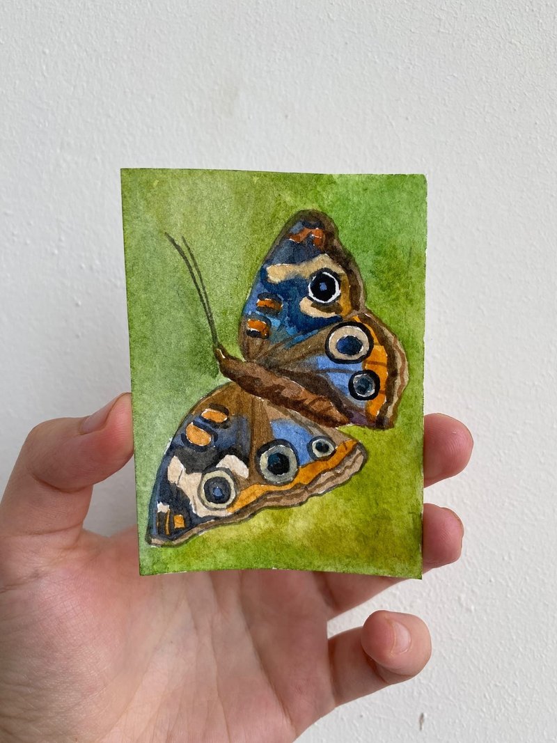 ACEO watercolor original art butterfly Card Miniature wall decor animal painting - ตกแต่งผนัง - กระดาษ หลากหลายสี