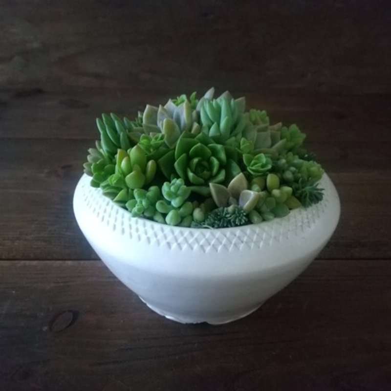 White flower pot - Plants - Porcelain White