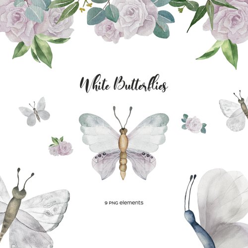 Art and Funny Watercolor white butterfly and roses illustration