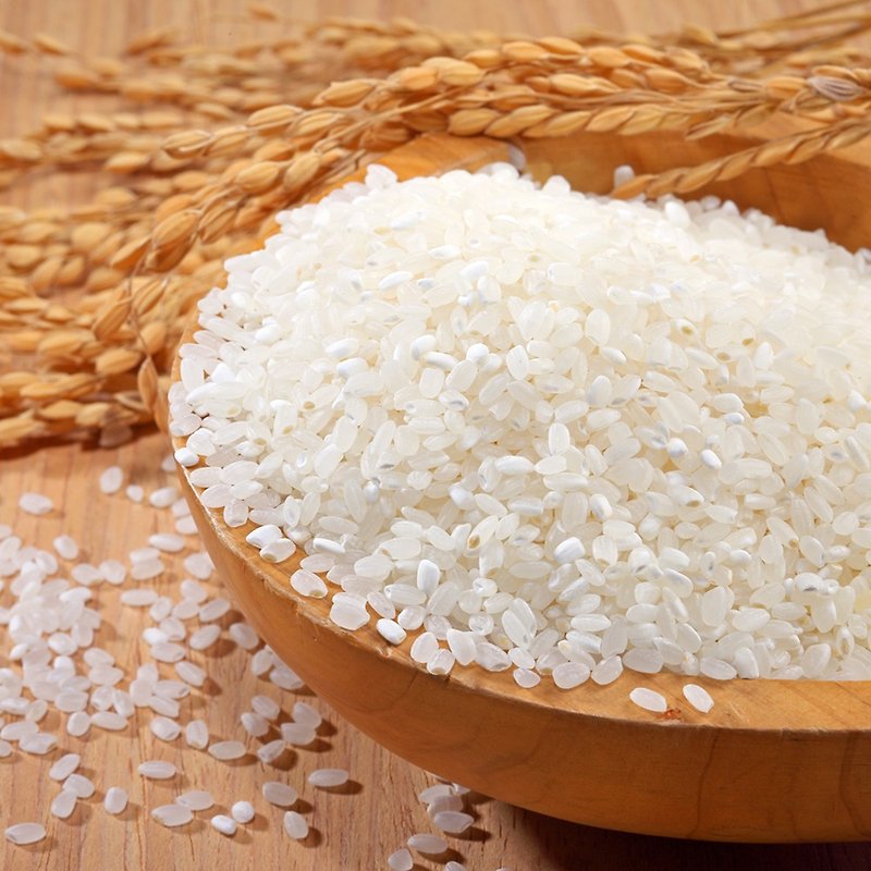 [ピンコイアニバーサリーリミテッド] Homely Good Rice  - 早期採用8パックグループのオファー - 穀物・米 - 食材 ホワイト