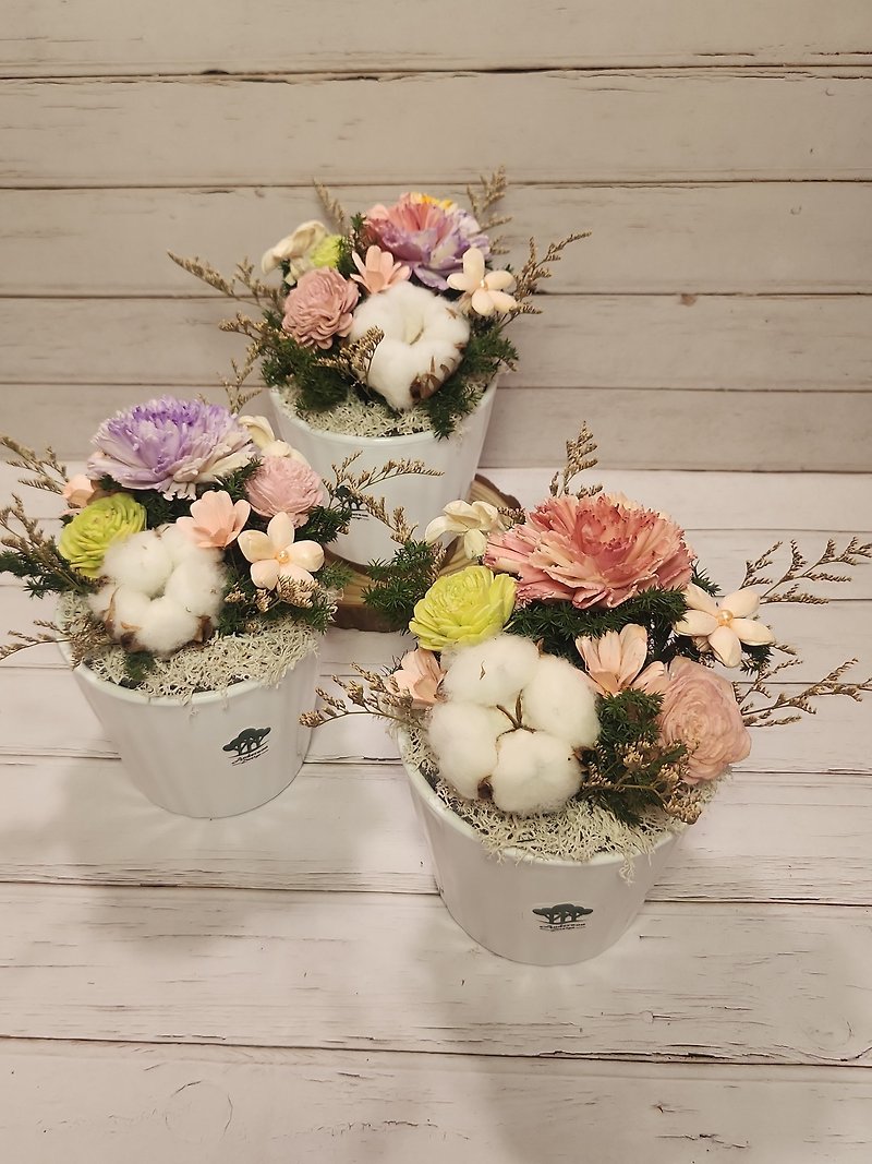 carnation sola flower gift - ช่อดอกไม้แห้ง - พืช/ดอกไม้ 