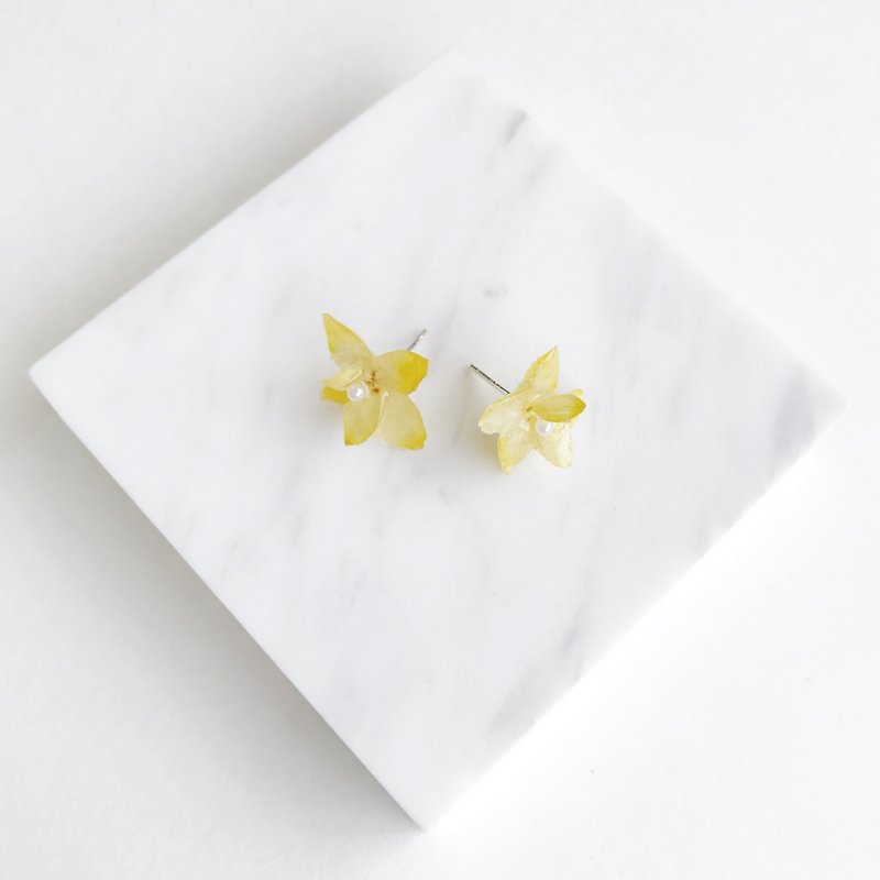 Real flower Hydrangea Earrings S925 silver - ต่างหู - พืช/ดอกไม้ สีเหลือง