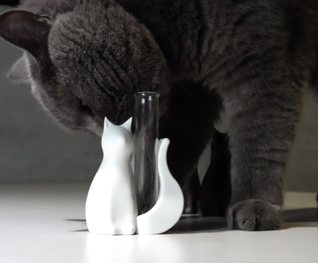 猫　キャットラビット　カラフル　アクリル画 猫 キャットラビット カラフル アクリル画