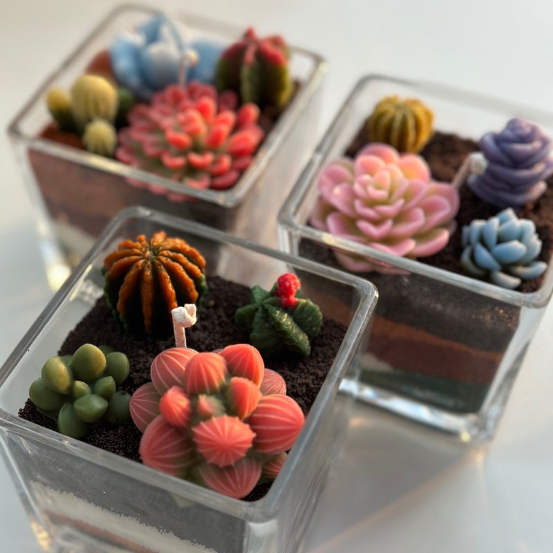 多肉植物キャンドルワークショップ - 香水・キャンドル作り - 蝋 