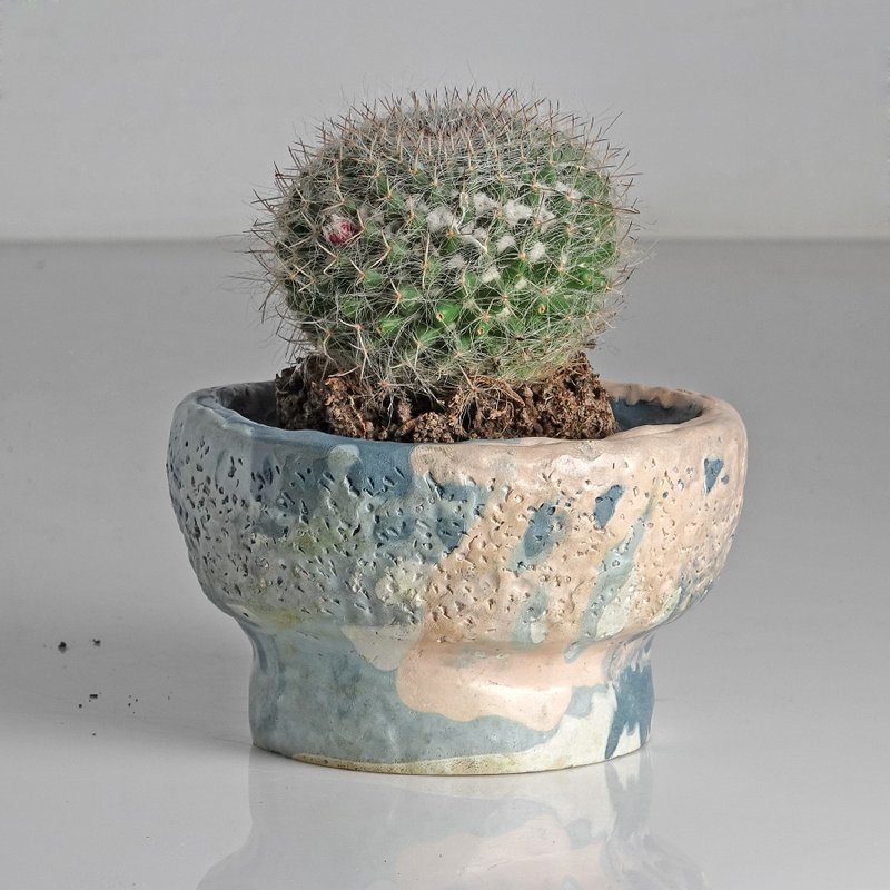 水泥盆器 - 盆栽/植栽 - 水泥 