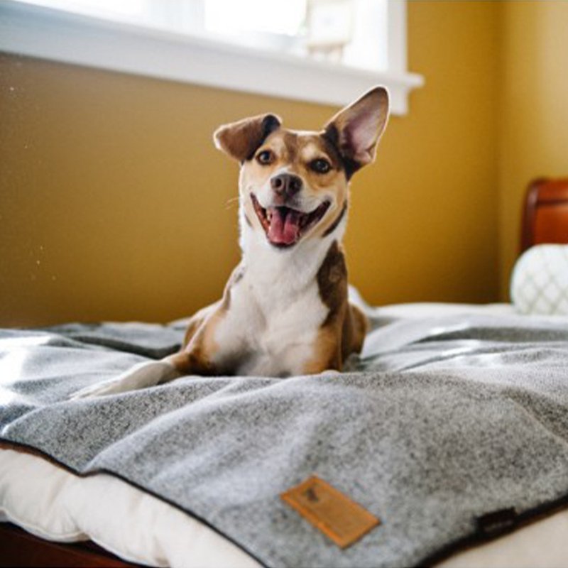 寵物床墊 不毛斜紋睡墊 貓狗使用 (3色) 可機洗 - 寵物床墊/床褥 - 人造皮革 