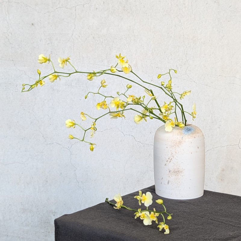 濤痕 圓筒花器 花瓶 擺飾 - 花瓶/花器 - 陶 白色