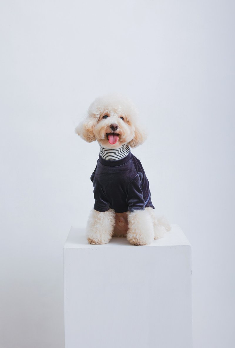 Fashion Pet | ベルベット + 小樽カラー Tシャツ | チャコールグレー | pat a pet - 洋服・帽子 - その他の素材 ブラック