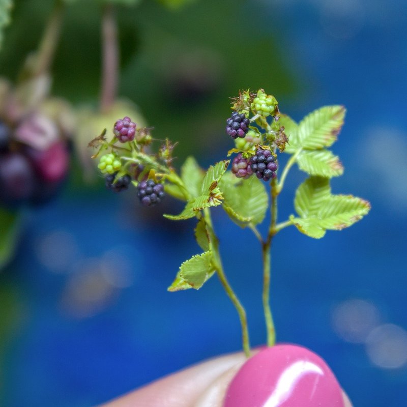 TUTORIAL Miniature blackberry branch with polymer clay | PDF + video - 手工藝教學/工具書 - 其他材質 