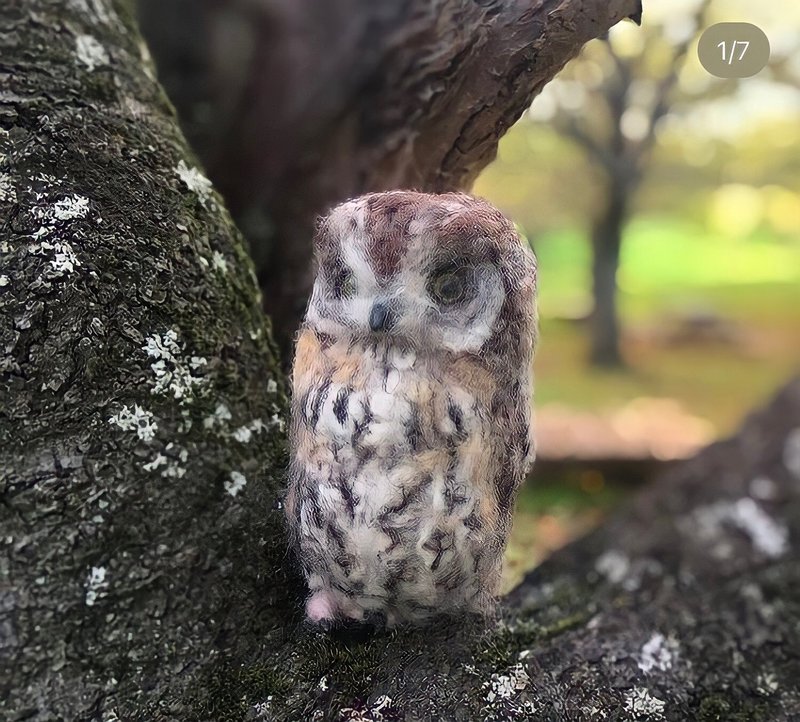 European scops owl in wool felt - Stuffed Dolls & Figurines - Wool 