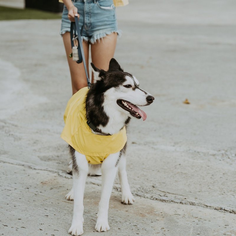 SPACE A Global Waterproof Quick-Wear Jacket - Classic Yellow - Clothing & Accessories - Polyester 