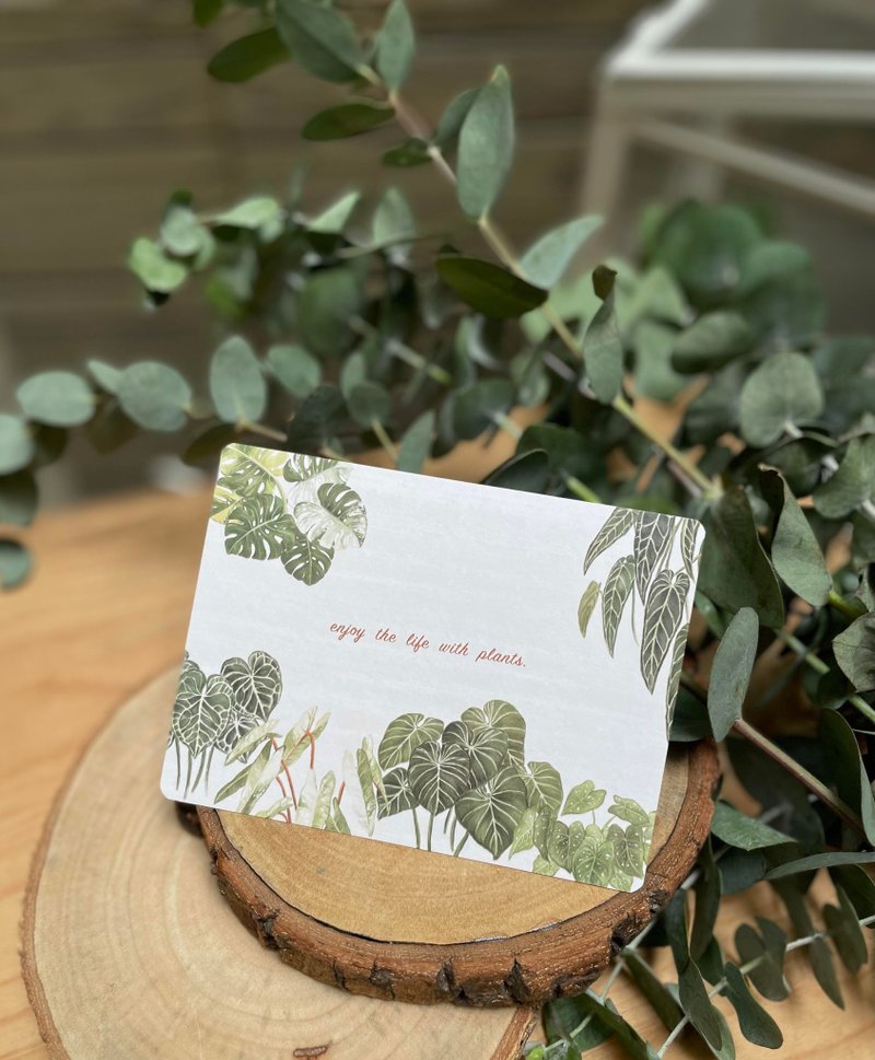 Foliage / Araceae Postcards - Cards & Postcards - Paper 