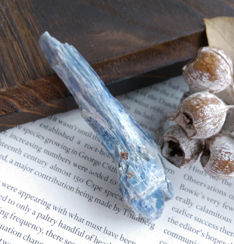 Kyanite 巴西產地 藍晶石 石英共生礦 天然礦石 原礦 - 擺飾/家飾品 - 其他材質 