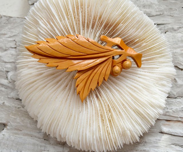 Coast Silk Tassel – Sparrowhawk Native Plants