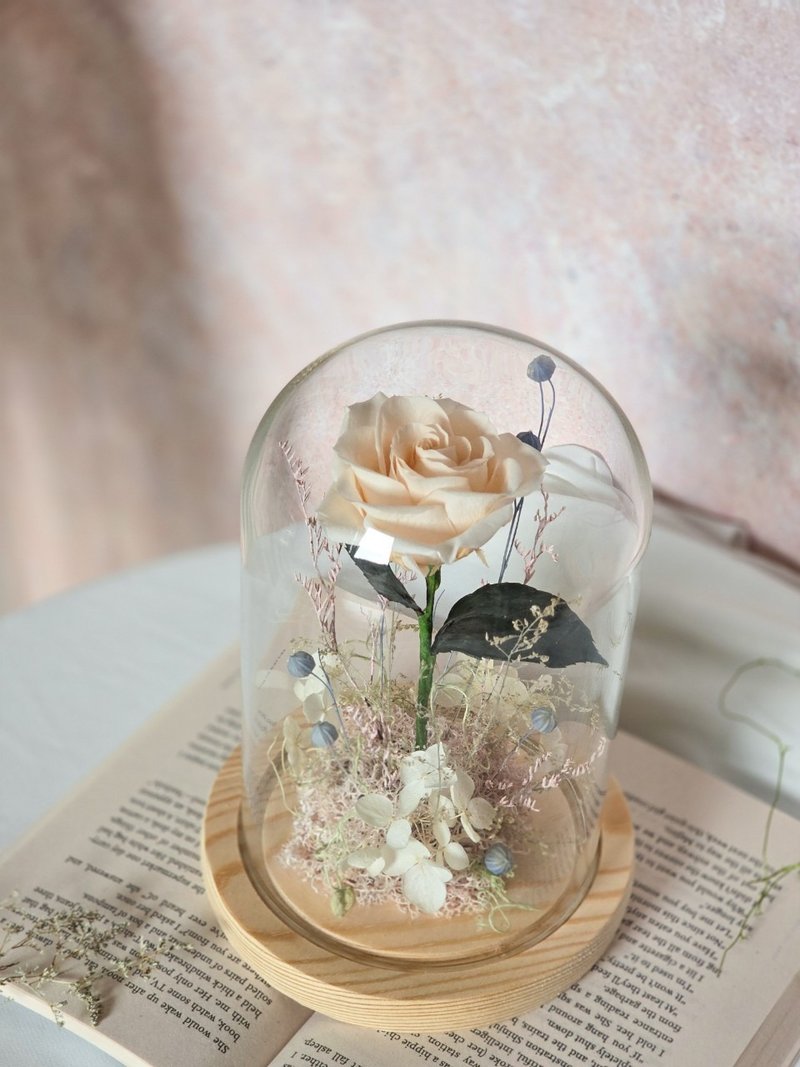 小王子玻璃花鐘 (香檳款) 不凋花 永生花 乾燥花 永生花小夜燈 - 乾燥花/永生花 - 植物．花 白色