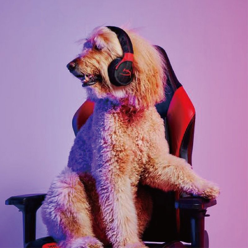 寵物玩具 狗狗 HyperX耳機 啾啾聲 響紙 - 貓/狗玩具 - 環保材質 