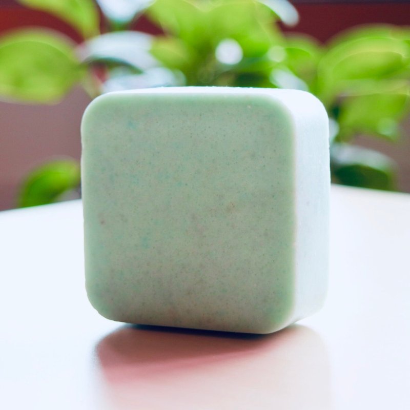 Cool Mint Handmade Soap Stone Alkaline Oily Skin - Soap - Plants & Flowers 