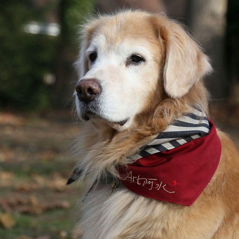 Dogs exclusive name scarf - Custom (large dogs) - khaki stripes - ปลอกคอ - ผ้าฝ้าย/ผ้าลินิน สีกากี