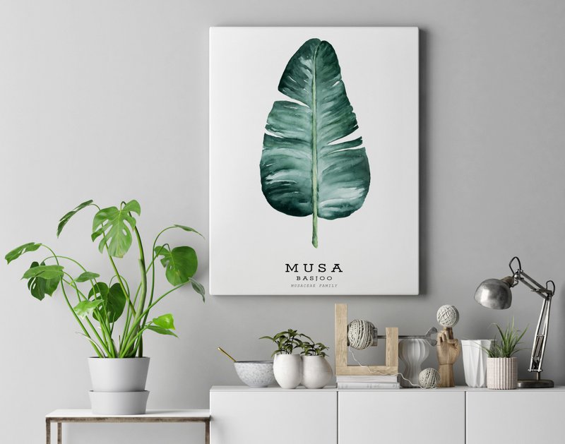 【芭蕉葉】限量版複製畫 | 植物圖鑒水彩複製畫 | 沙發牆背景掛畫 - 海報/掛畫/掛布 - 紙 