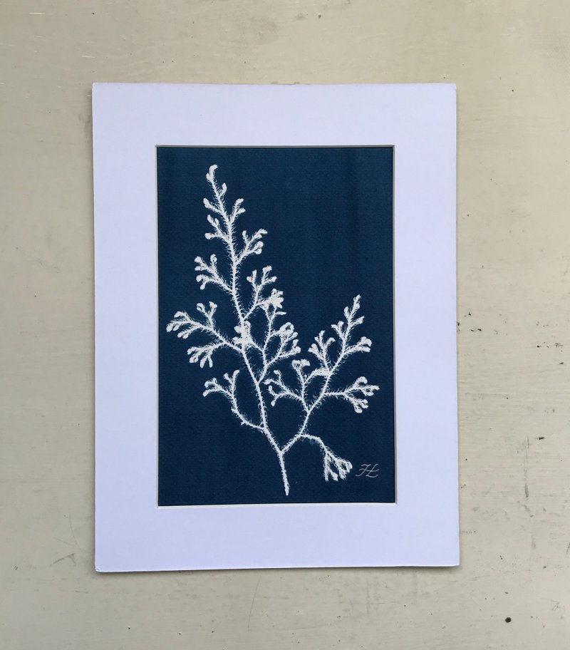 Botanic Cyanotype Framed Art Piece - ตกแต่งผนัง - กระดาษ สีน้ำเงิน